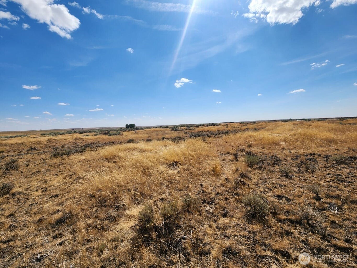0 Earl Road North Davenport, WA 99122 - Photo 5 of 30 a view of an ocean