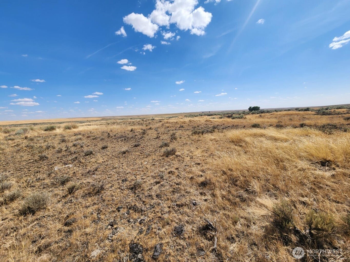 0 Earl Road North Davenport, WA 99122 - Photo 9 of 30 a view of an ocean