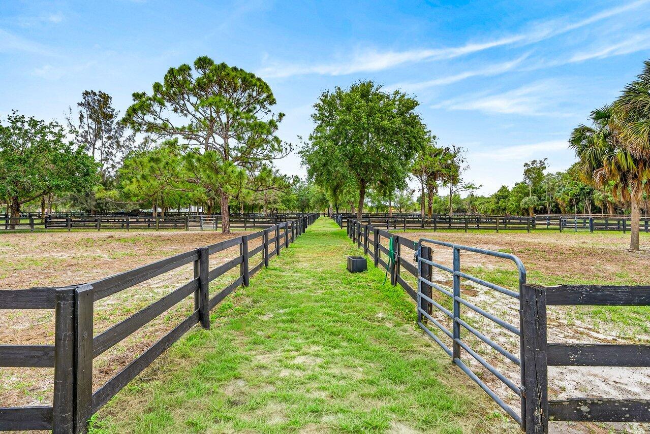 2741 Buck Ridge Trail Loxahatchee, FL 33470 - Photo 28 of 38 Paddocks