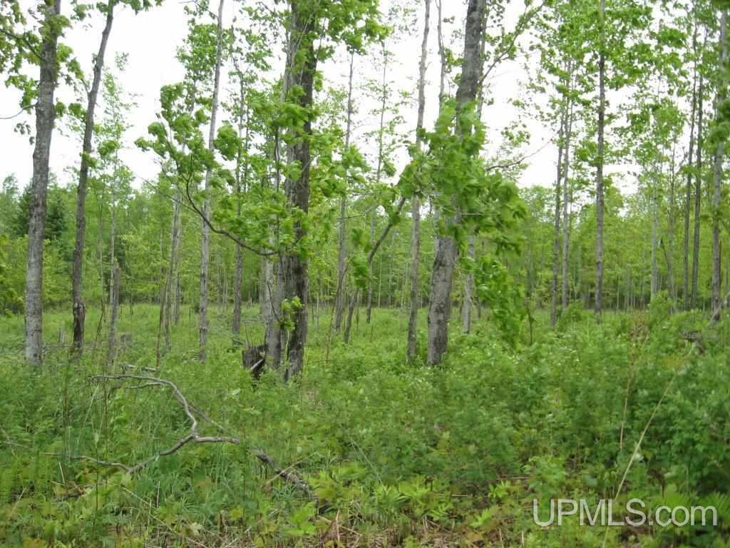 Tbd Co Rd H26 Rock, MI 49880 - Photo 10 of 17