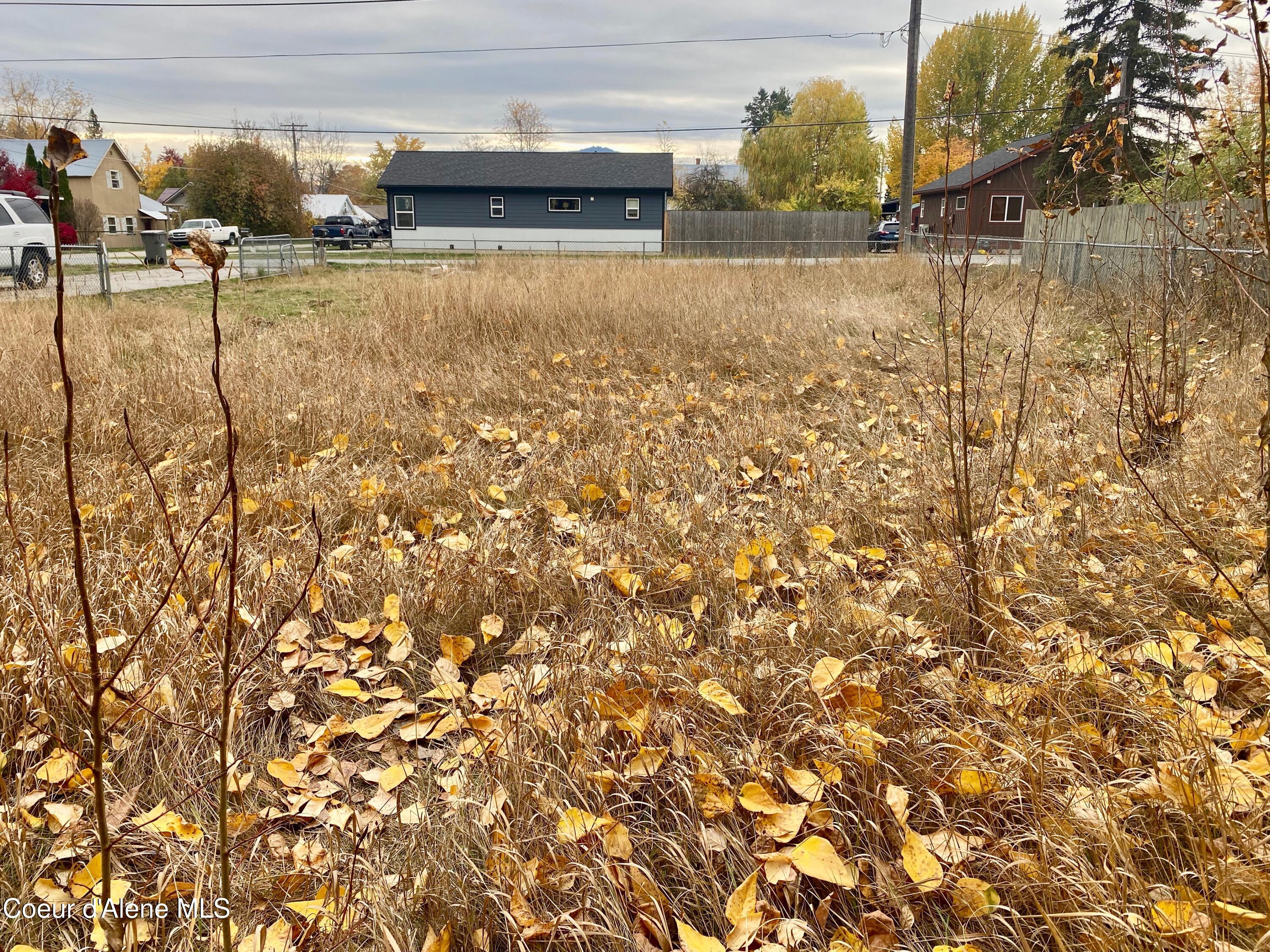 61 Whiskey Jack Road Sandpoint, ID 83864 - Photo 55 of 59 side Yard 5