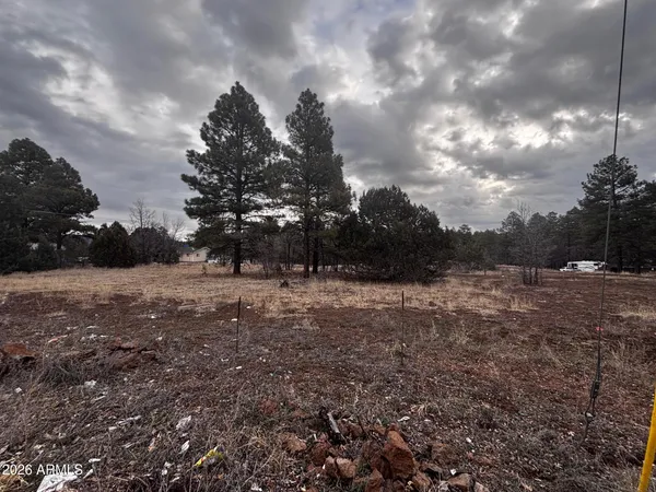 a view of outdoor space with city view