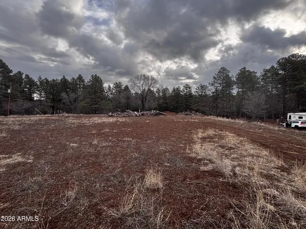 a view of a dry field with trees