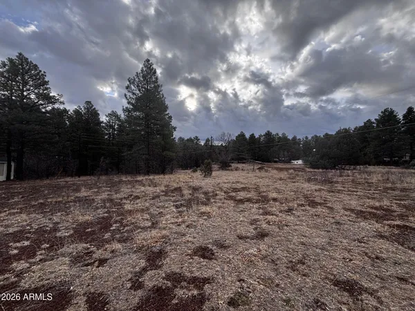 a view of a field with trees in background