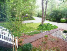 486 Beard Valley Road Maynardville, TN 37807 - Photo 2 of 38 Picturesque!