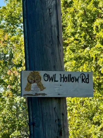 $45,500 | 0 Owl Hollow Road, Unit LOT 8, Palmer, TN 37365