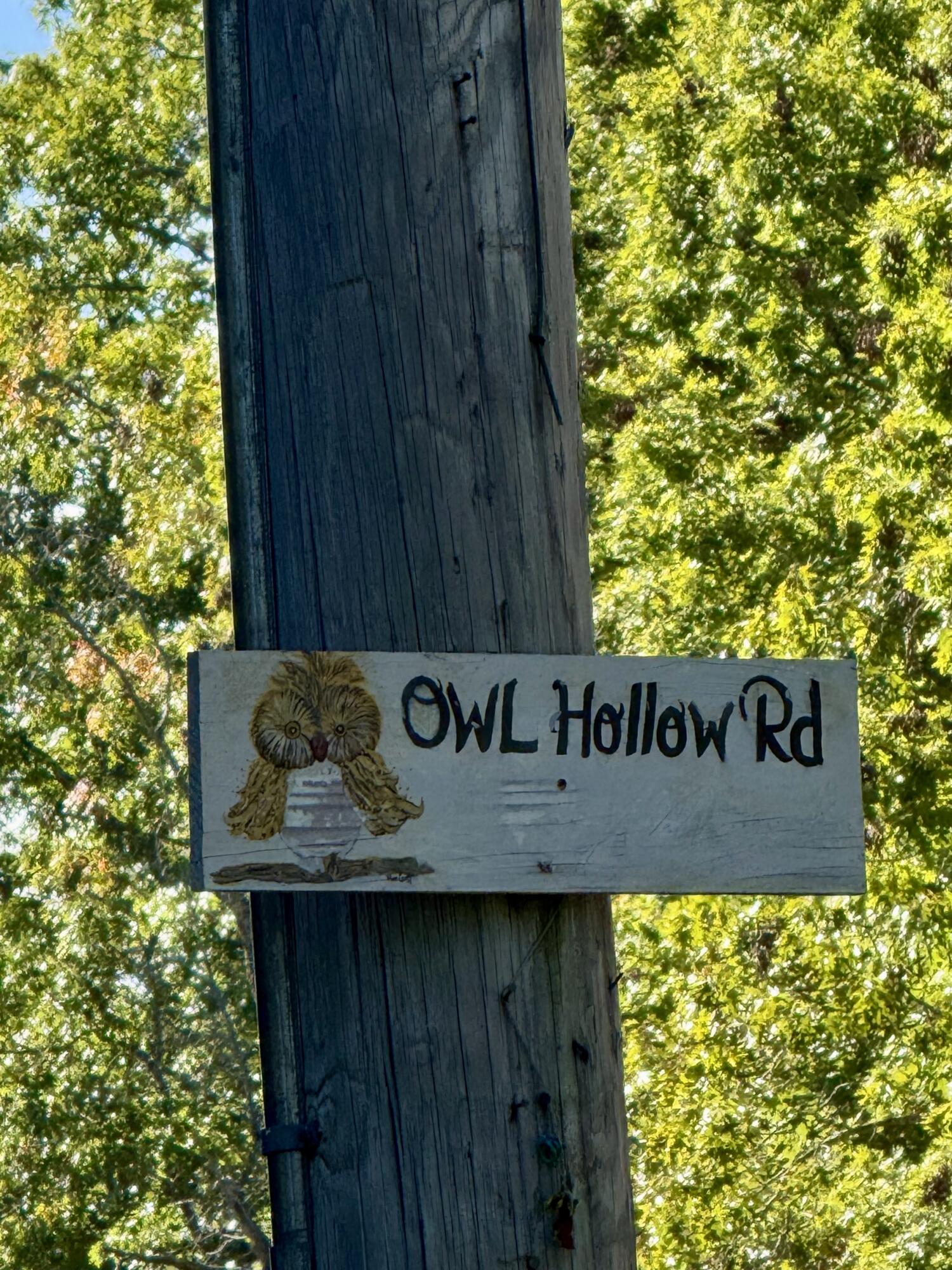 0 Owl Hollow Road, Unit LOT 8 Palmer, TN 37365 - Photo 1 of 17 IMG_2502