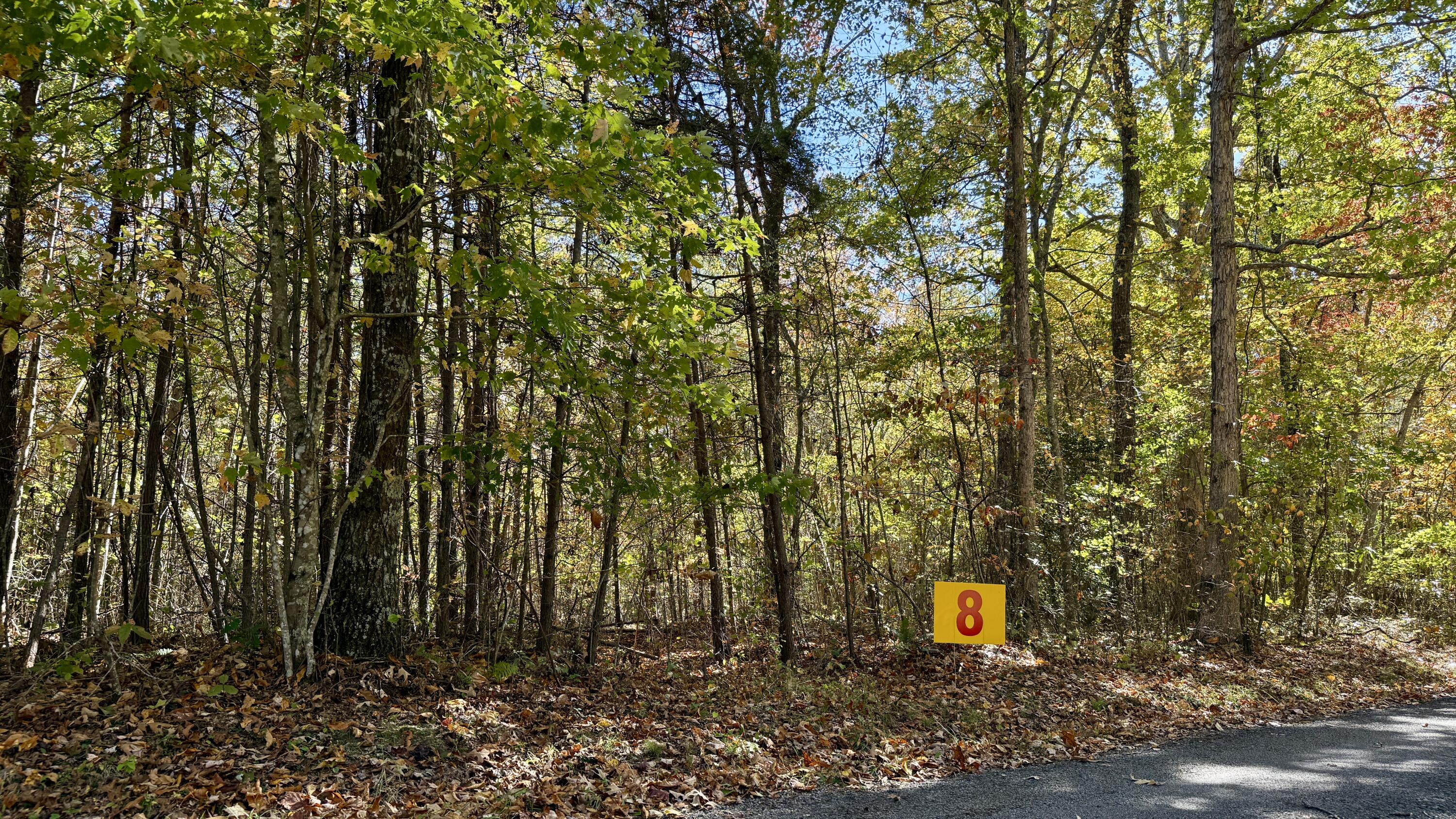 0 Owl Hollow Road, Unit LOT 8 Palmer, TN 37365 - Photo 2 of 17 IMG_2898