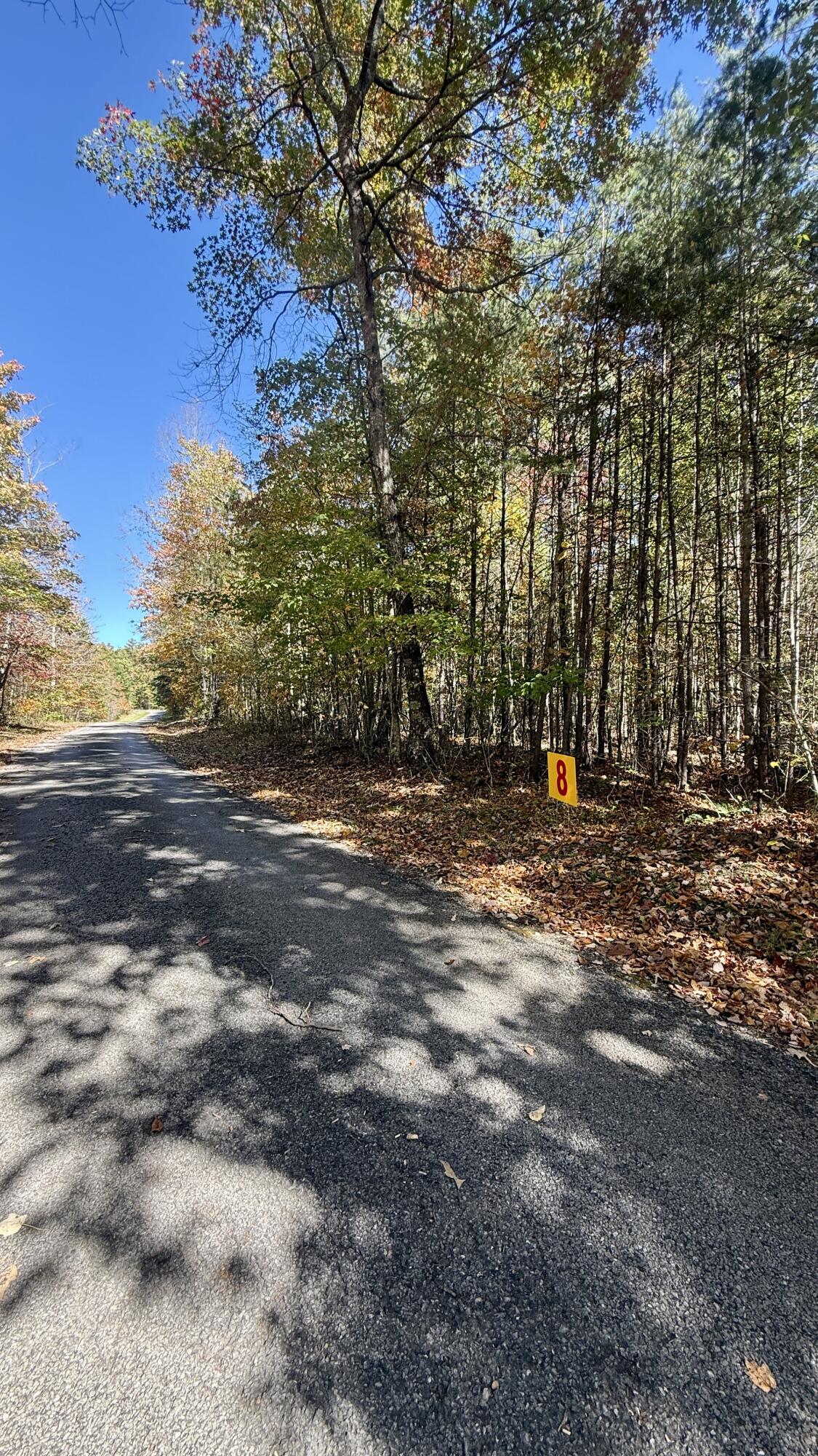 0 Owl Hollow Road, Unit LOT 8 Palmer, TN 37365 - Photo 8 of 17 IMG_2911