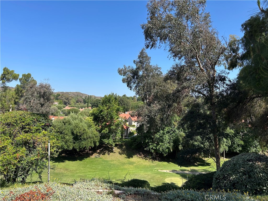 26226 Rainbow Glen Drive Newhall, CA 91321 - Photo 19 of 27 a view of a garden