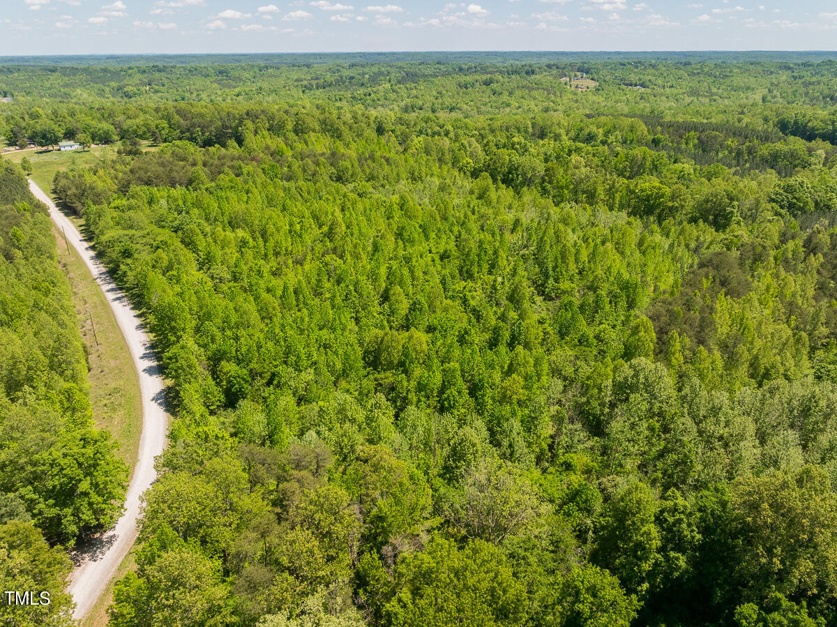 Lot-1-00 Wilson Road Providence, NC 27315 - Photo 7 of 43 Caswell Co. NC -Wilsons Ridge-Lot 1-07
