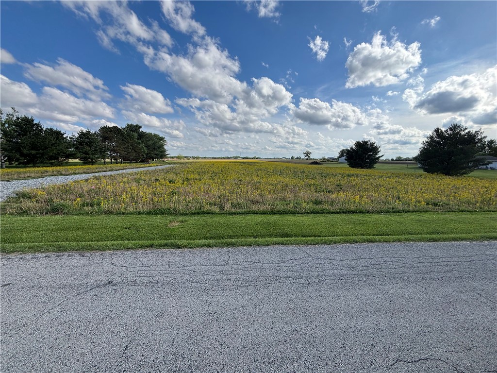 1673 Foust Road Xenia, OH 45385 - Photo 3 of 4 A vibrant green lawn transitions to a field of golden flowers under a vast, cloud-dotted sky.