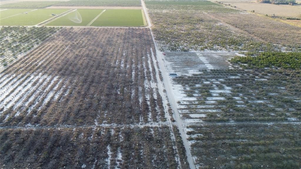 627 Raulerson Road Frostproof, FL 33843 - Photo 7 of 12 a view of yard