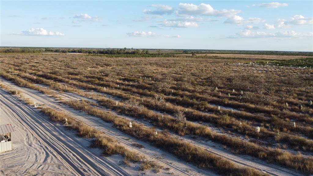 627 Raulerson Road Frostproof, FL 33843 - Photo 8 of 12