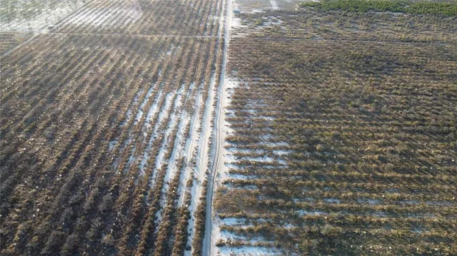a view of a lake from a yard