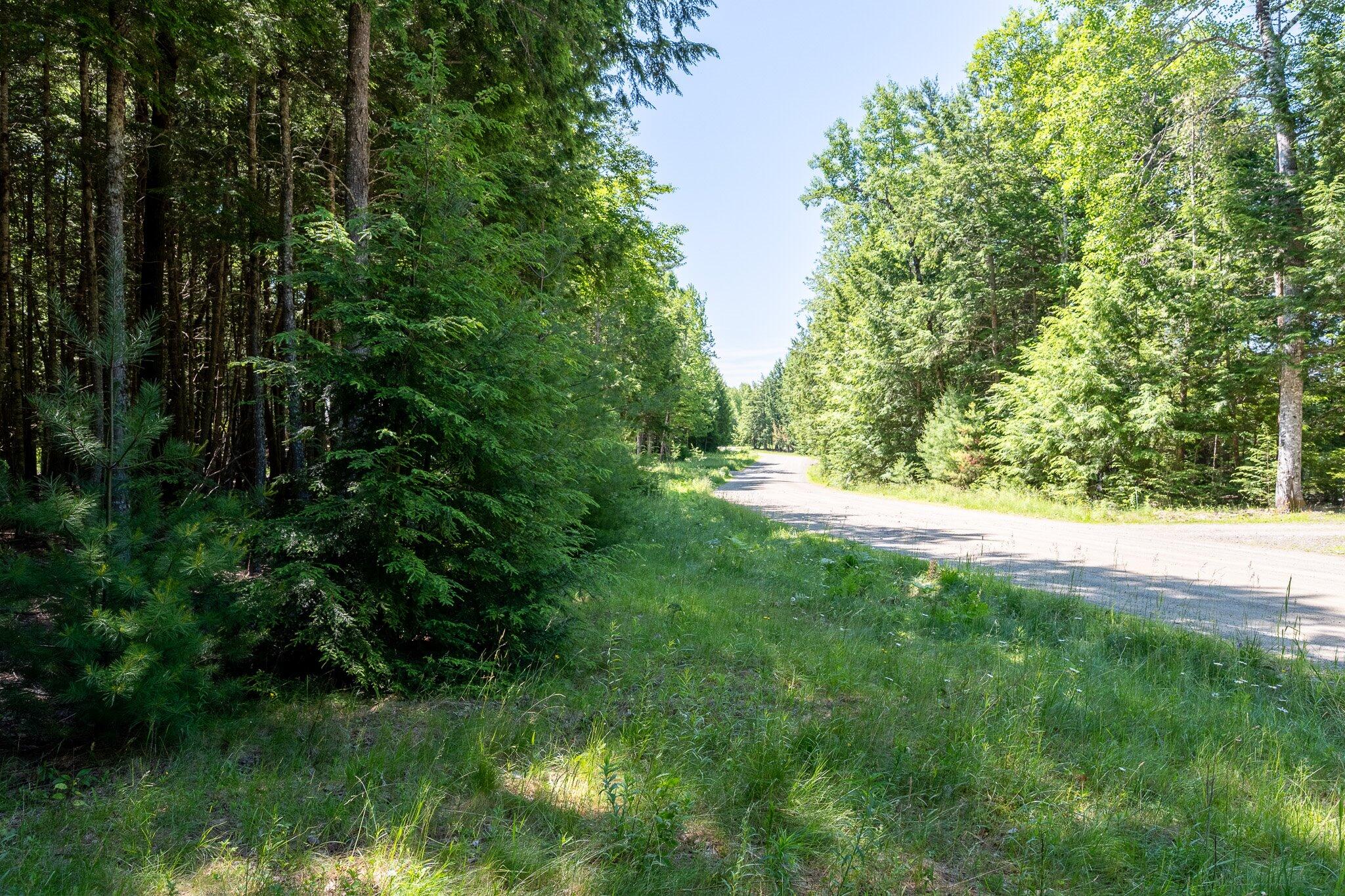 Lot 5 Black Cat Point Princeton, ME 04668 - Photo 15 of 18 15-Black Cat Point