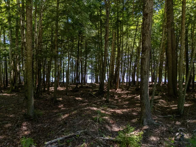 $109,000 | Lot 5 Black Cat Point, Princeton, ME 04668