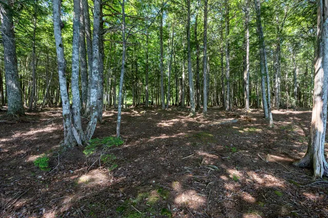 $109,000 | Lot 5 Black Cat Point, Princeton, ME 04668