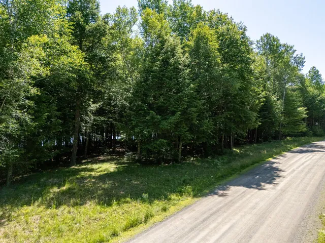 $109,000 | Lot 5 Black Cat Point, Princeton, ME 04668