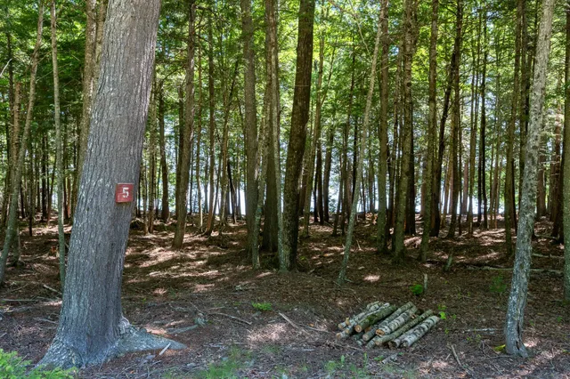 $109,000 | Lot 5 Black Cat Point, Princeton, ME 04668