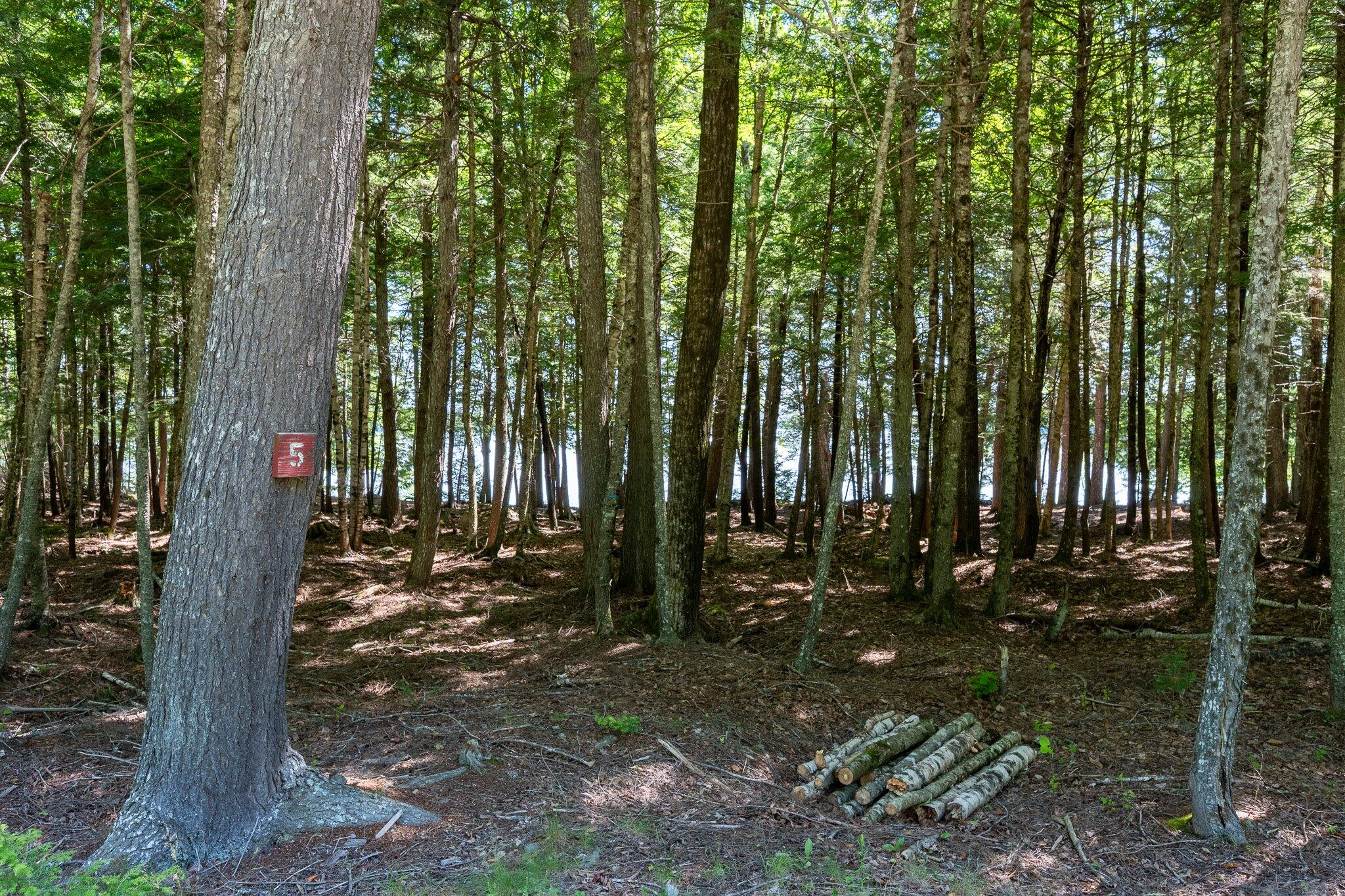 Lot 5 Black Cat Point Princeton, ME 04668 - Photo 4 of 18 04-Black Cat Point