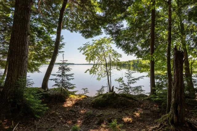 $109,000 | Lot 5 Black Cat Point, Princeton, ME 04668