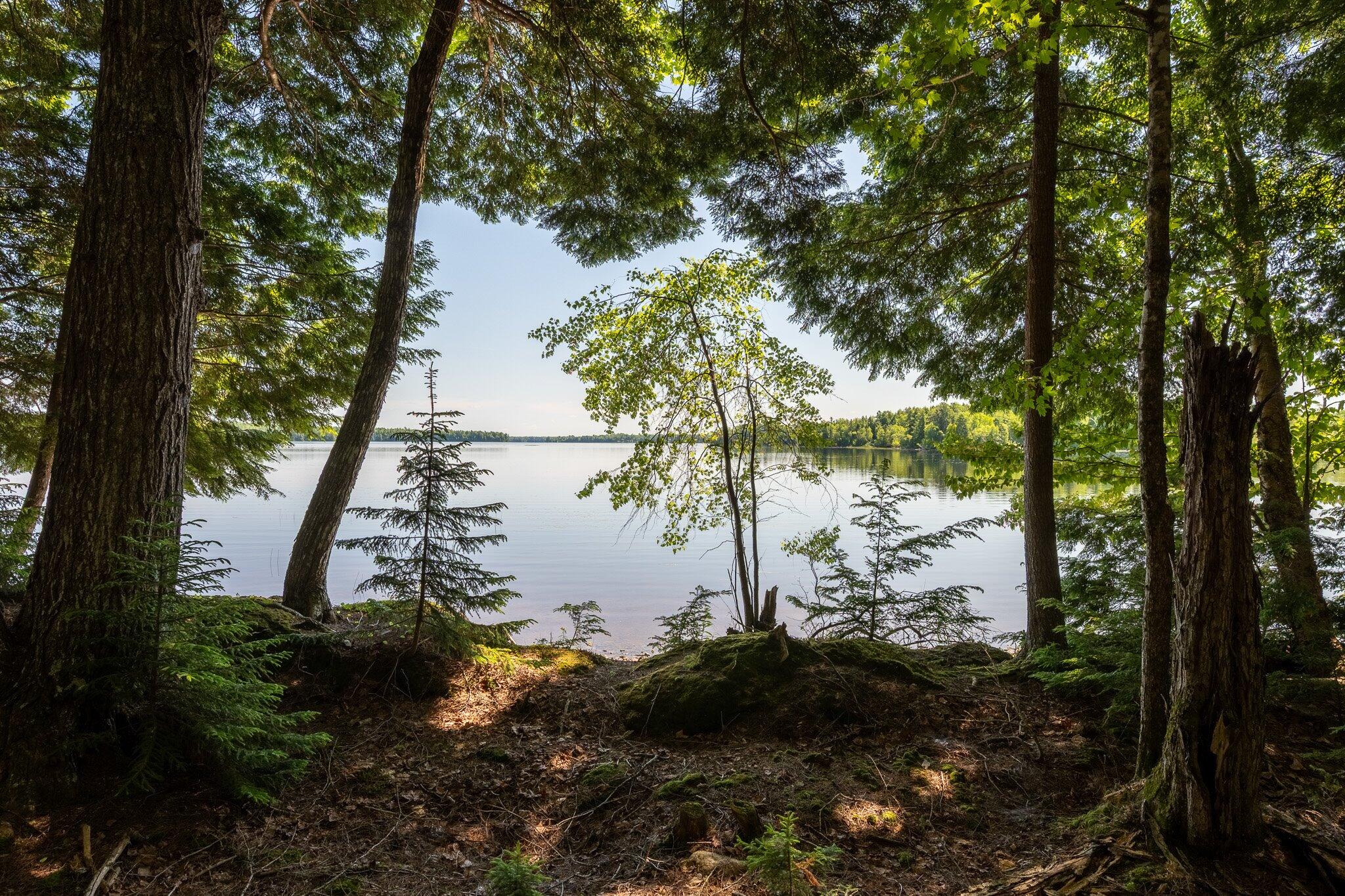 Lot 5 Black Cat Point Princeton, ME 04668 - Photo 5 of 18 05-Black Cat Point