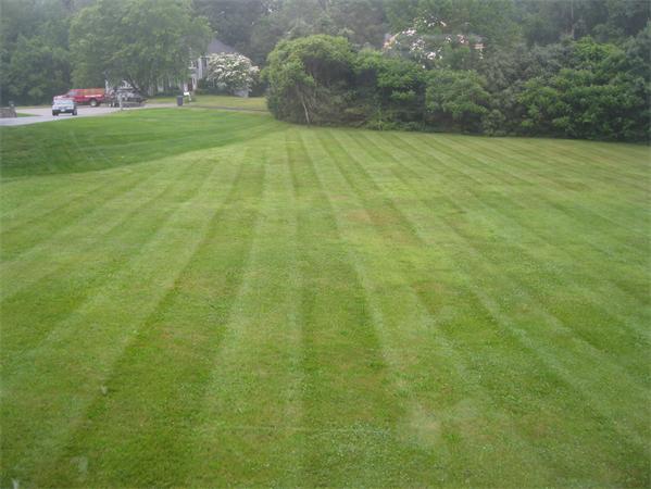 329 River Road Andover, MA 01810 - Photo 21 of 21 a view of a yard