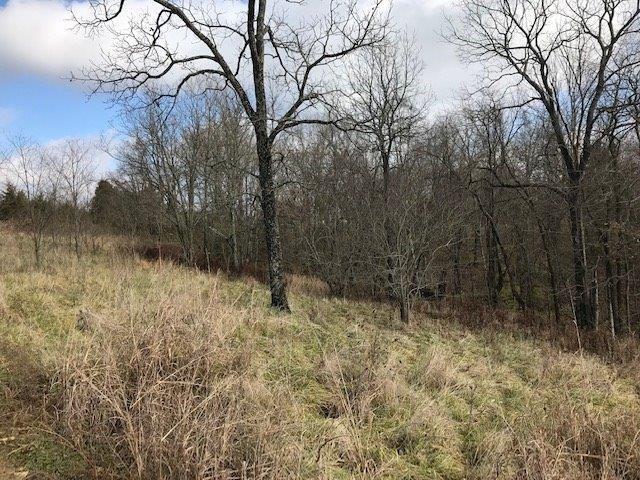 0 Buttermilk Run Road Manchester, OH 45144 - Photo 8 of 41