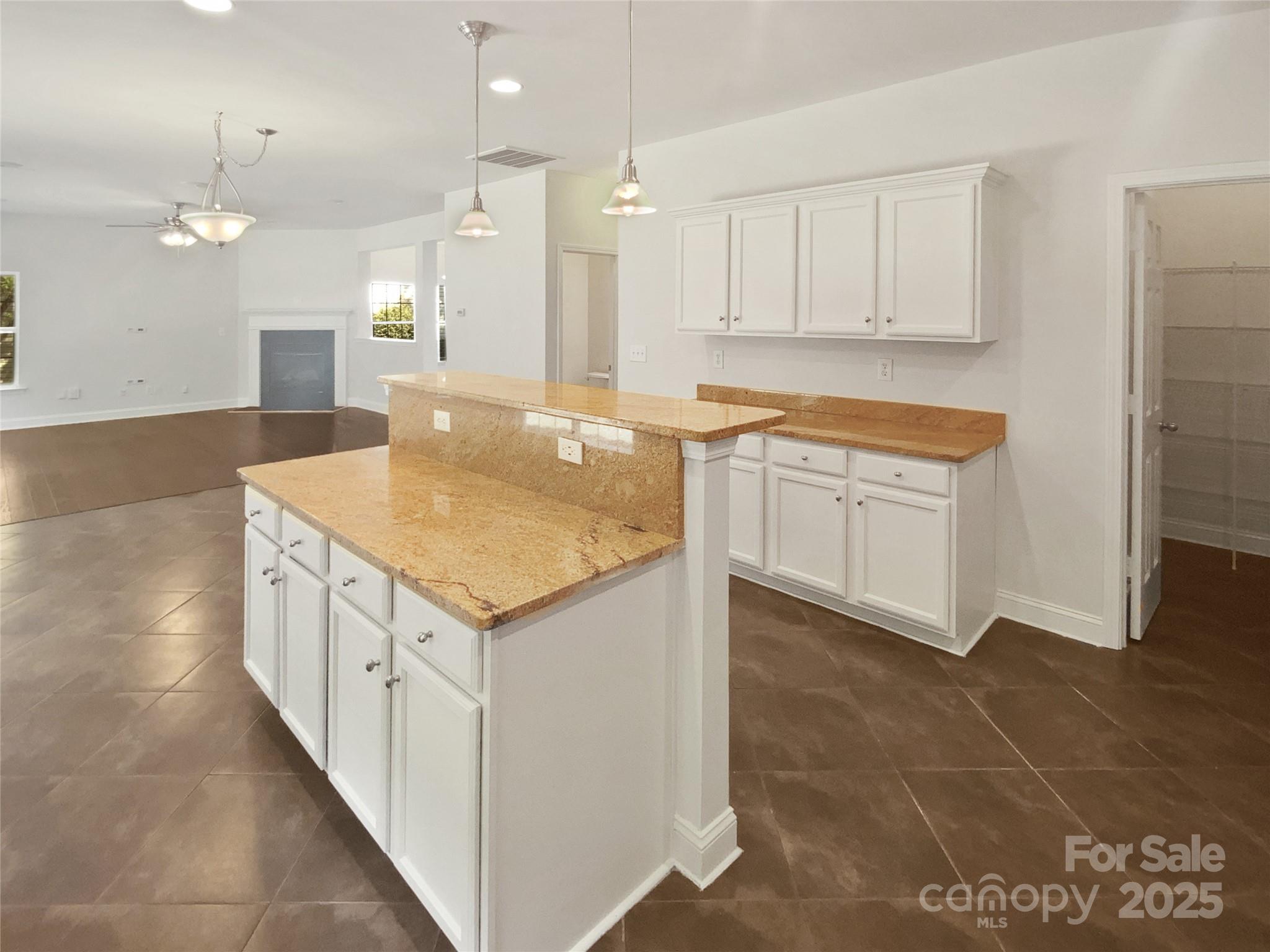 7042 Evanton Loch Road Charlotte, NC 28278 - Photo 15 of 29