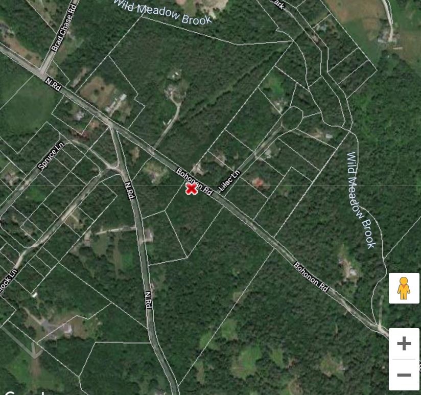 0 Bohonon Road Danbury, NH 03230 - Photo 1 of 1 Gallery Image 1