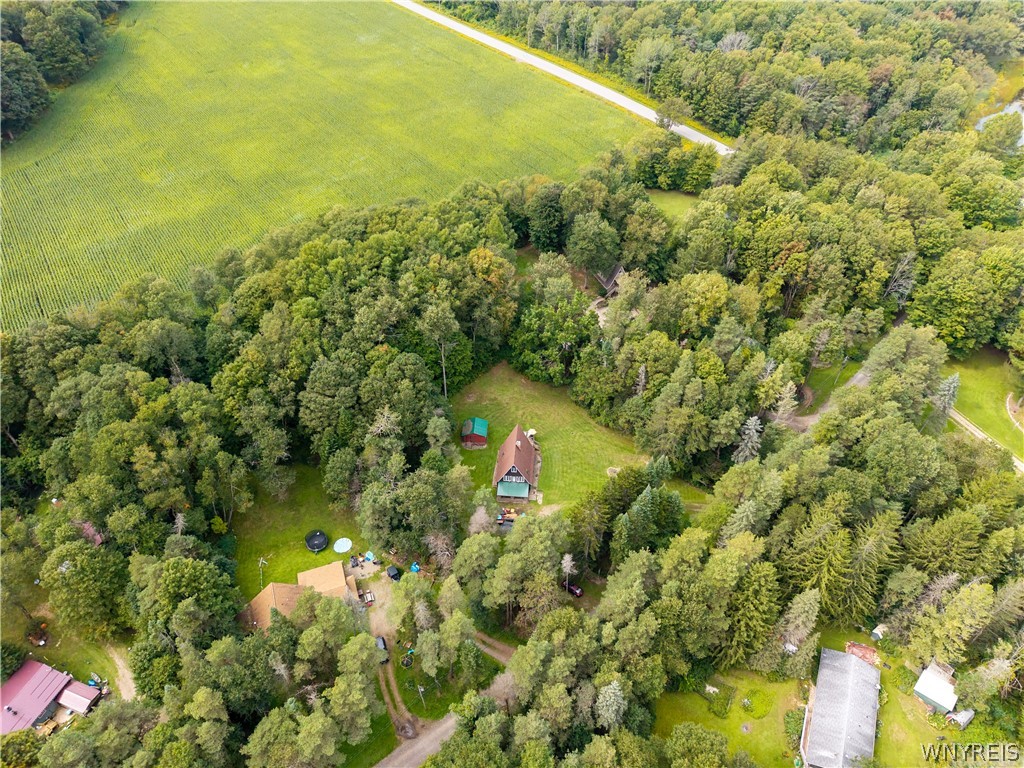 2834 Pee Dee Road, Unit 4 Wethersfield, NY 14024 - Photo 16 of 41 Drone View