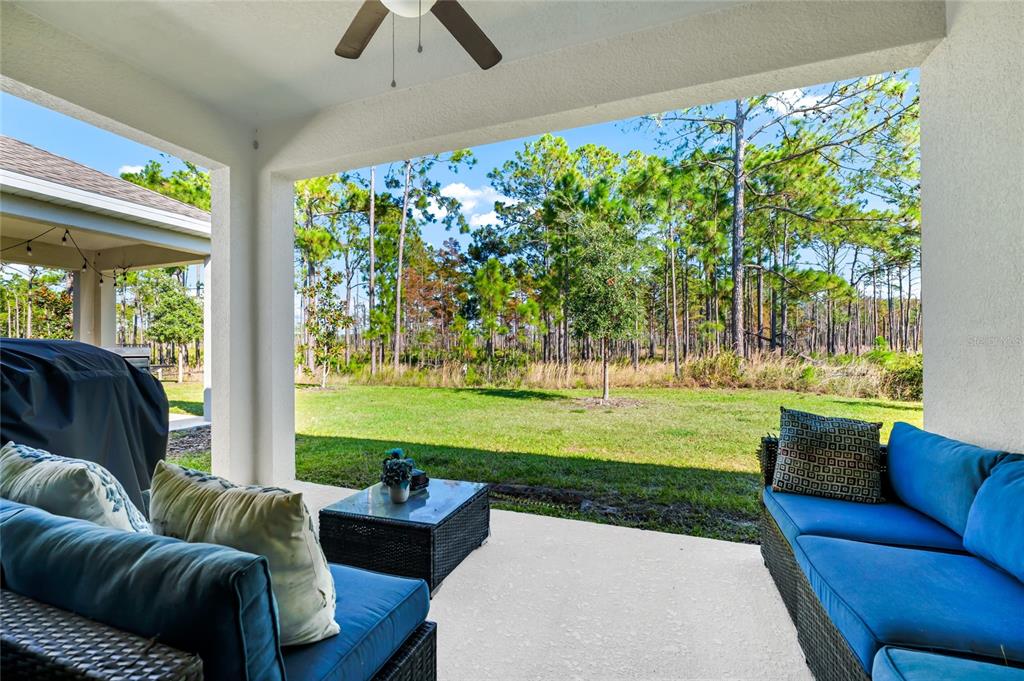 5656 Quiet Palm Loop St. Cloud, FL 34771 - Photo 28 of 36 a living room with furniture and a garden
