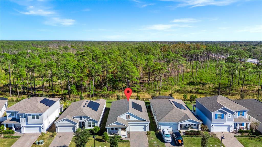 5656 Quiet Palm Loop St. Cloud, FL 34771 - Photo 33 of 36 an aerial view of residential houses with outdoor space and trees
