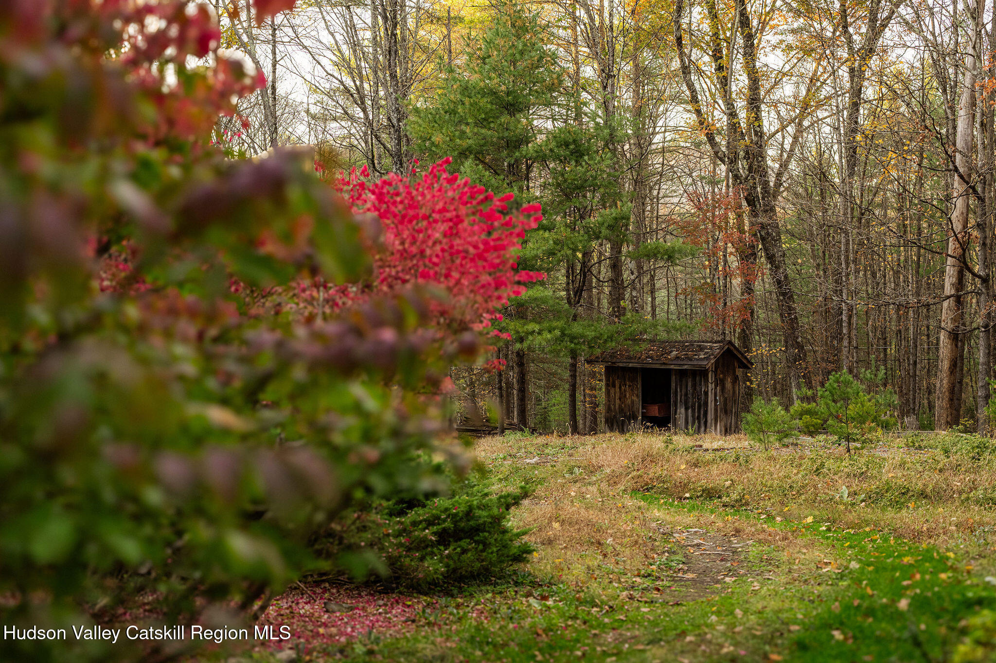 77 Lower Sahler Mill Road Olive, NY 12461 - Photo 48 of 50 2025-10-FreshAirNY-77Sahler-LawrenceBrau