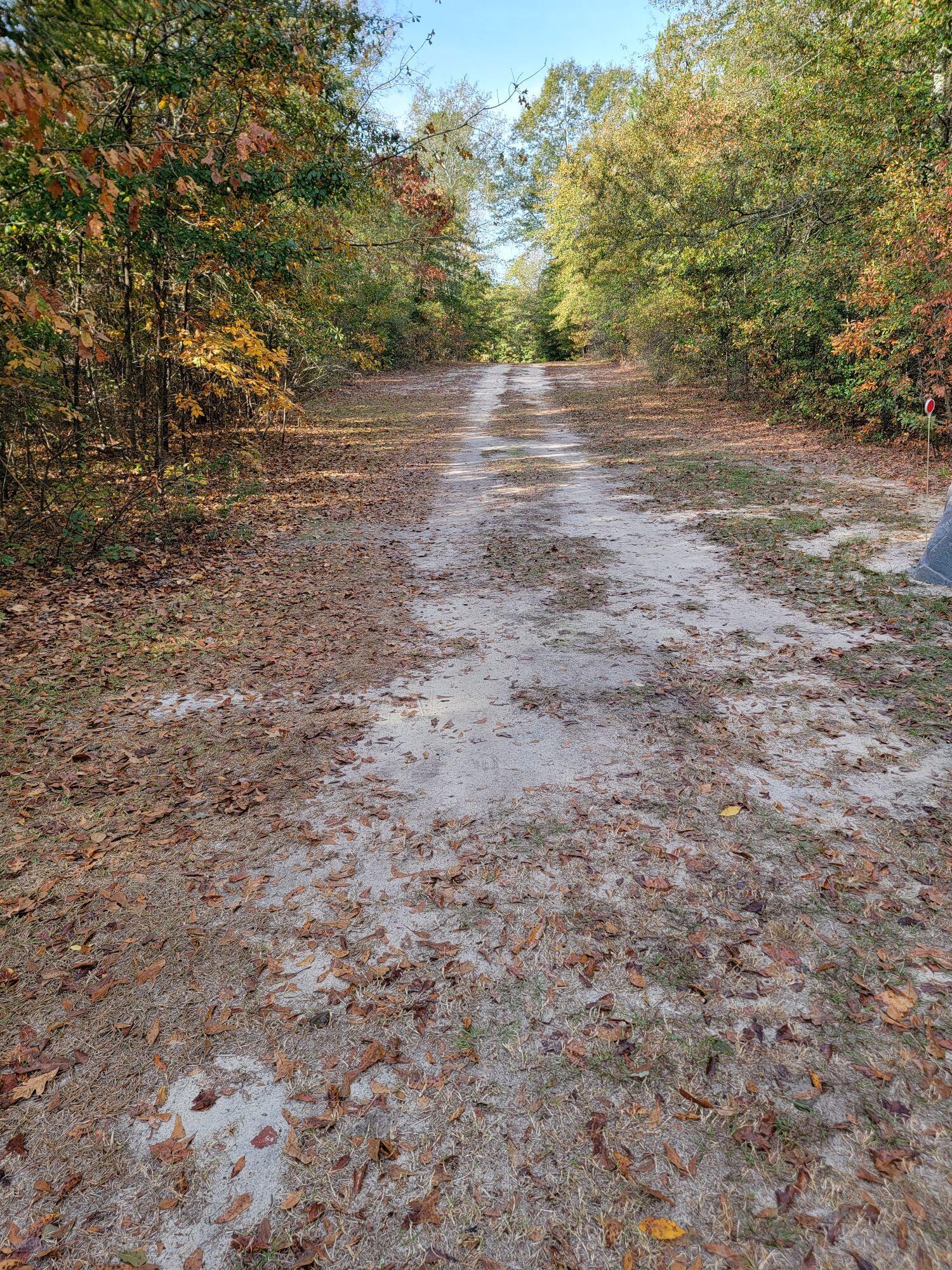 1655 Joyner Pond Road Aiken, SC 29803 - Photo 3 of 16