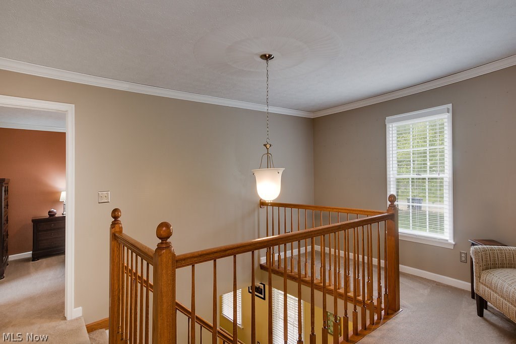 239 Hurd Road Aurora, OH 44202 - Photo 29 of 35 Gallery Image 29