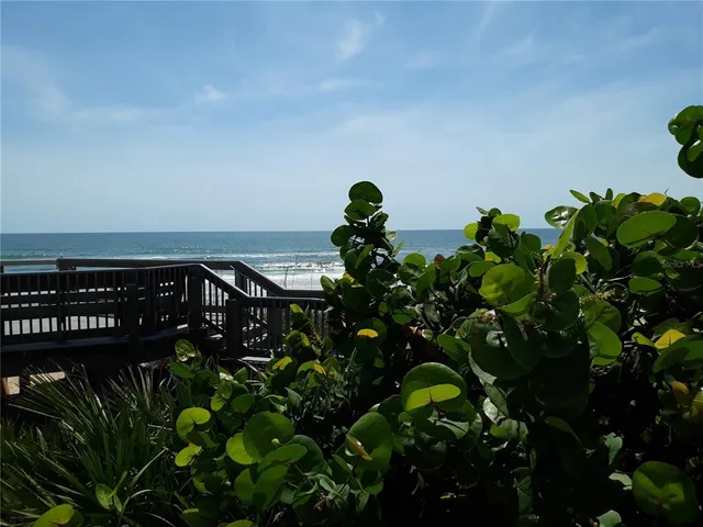 a close up of a plant in a pot