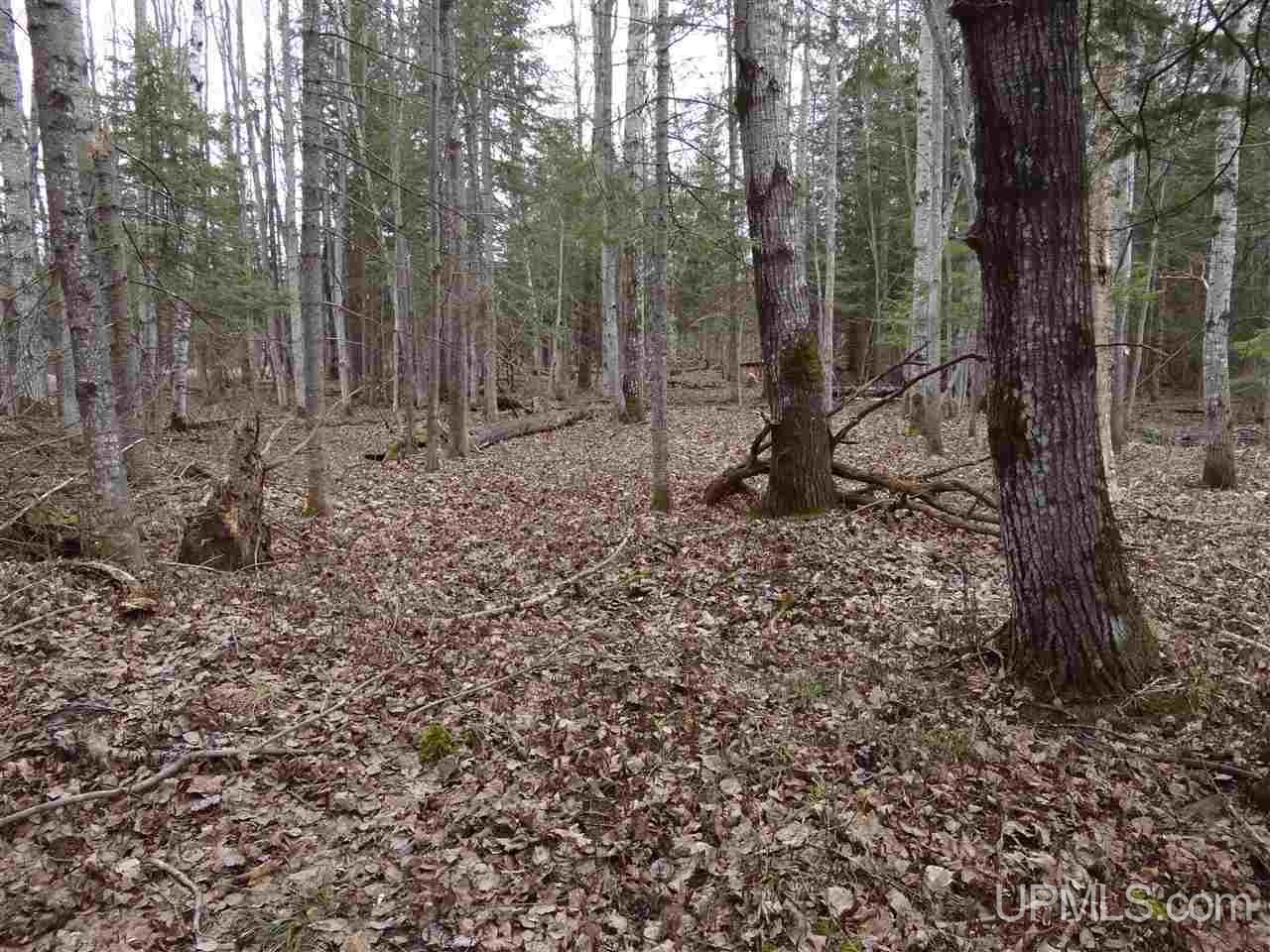 Tbd Dogpatch Road, Unit LOT I Lanse, MI 49946 - Photo 6 of 25