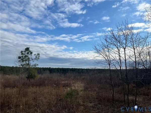 a view of a lake in middle of forest