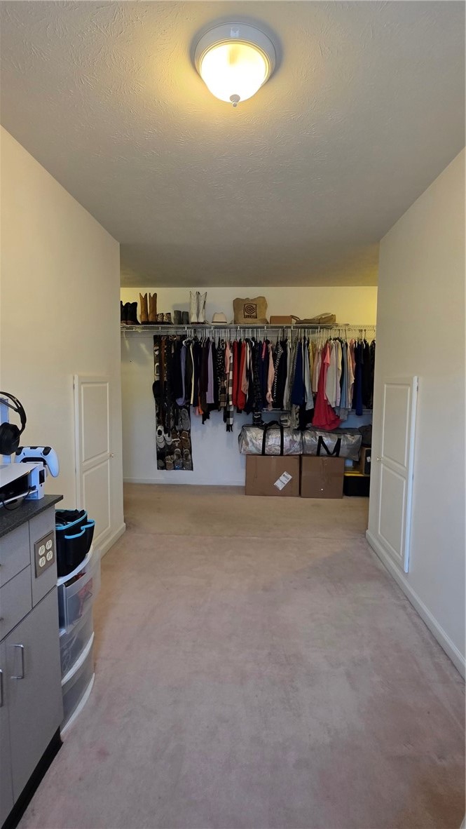 123 Fieldview Drive Erwin, NY 14870 - Photo 24 of 37 Master walk-in closet