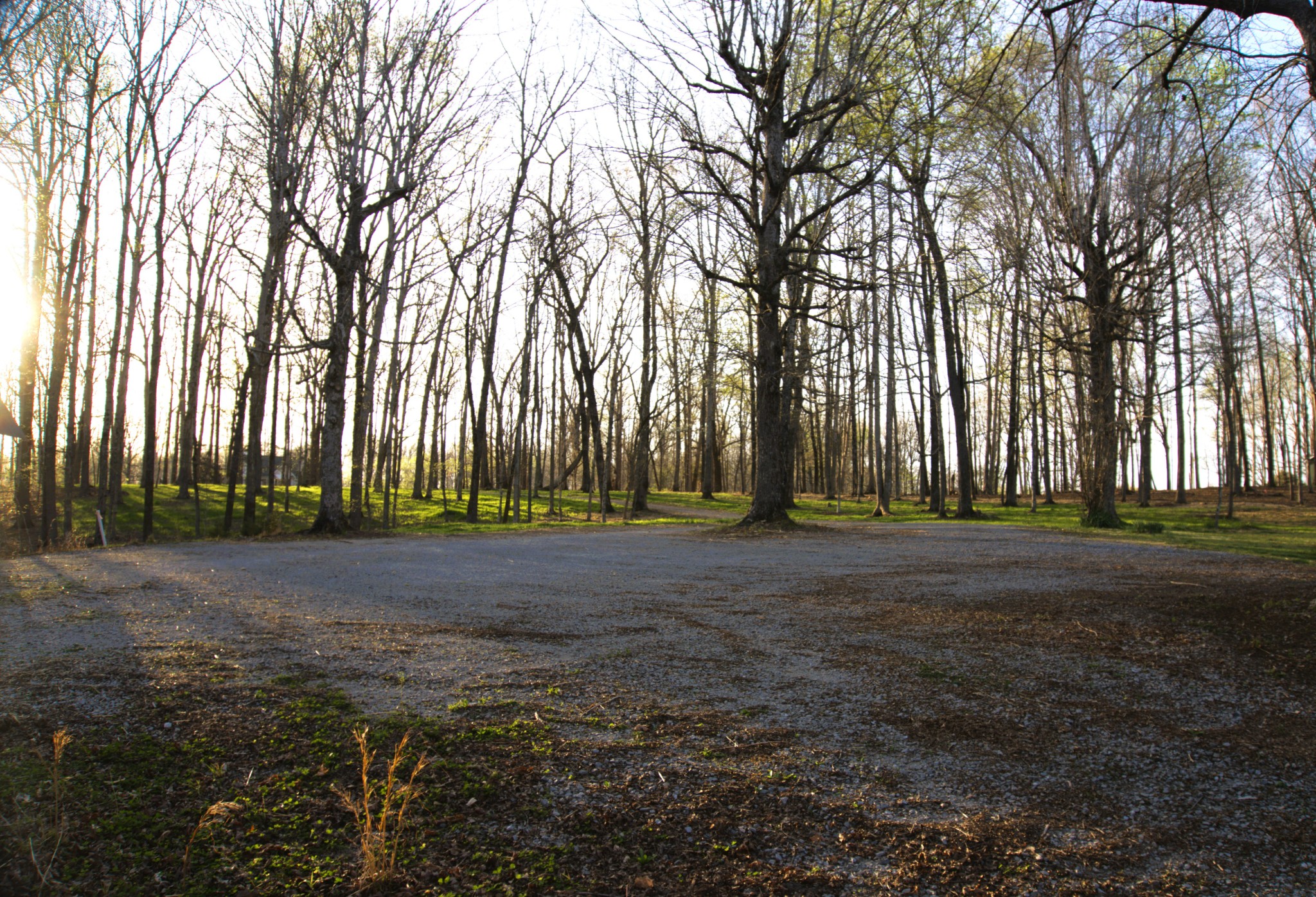 1300 Ridge Road Dickson, TN 37055 - Photo 62 of 78