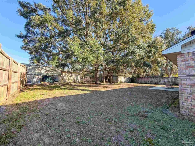 a view of backyard with large trees