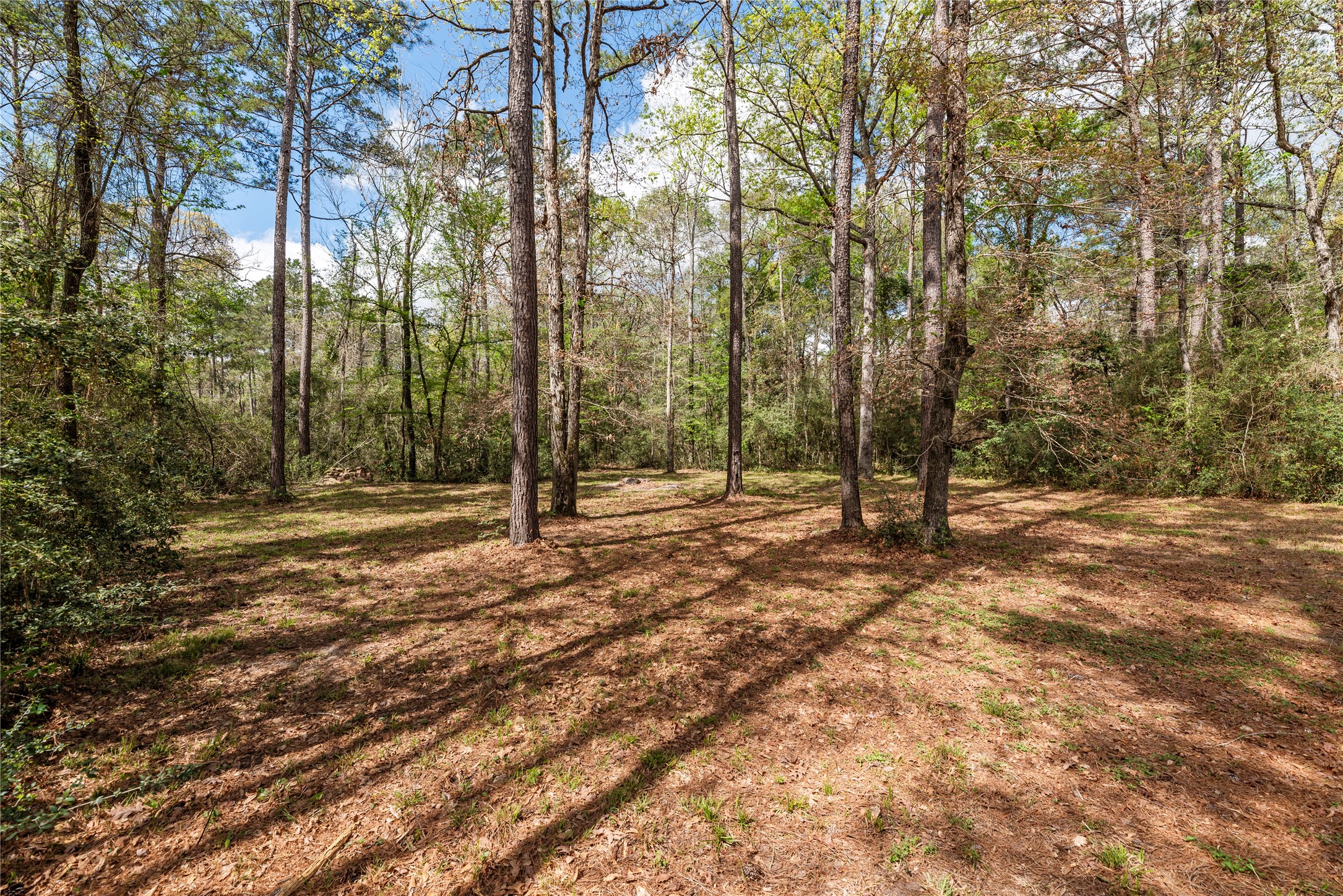 12062 Ike White Road Conroe, TX 77303 - Photo 5 of 37 Totally secluded property surrounded by woods.