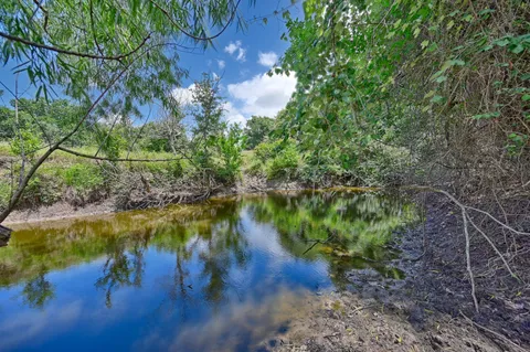 a view of a lake with a tree