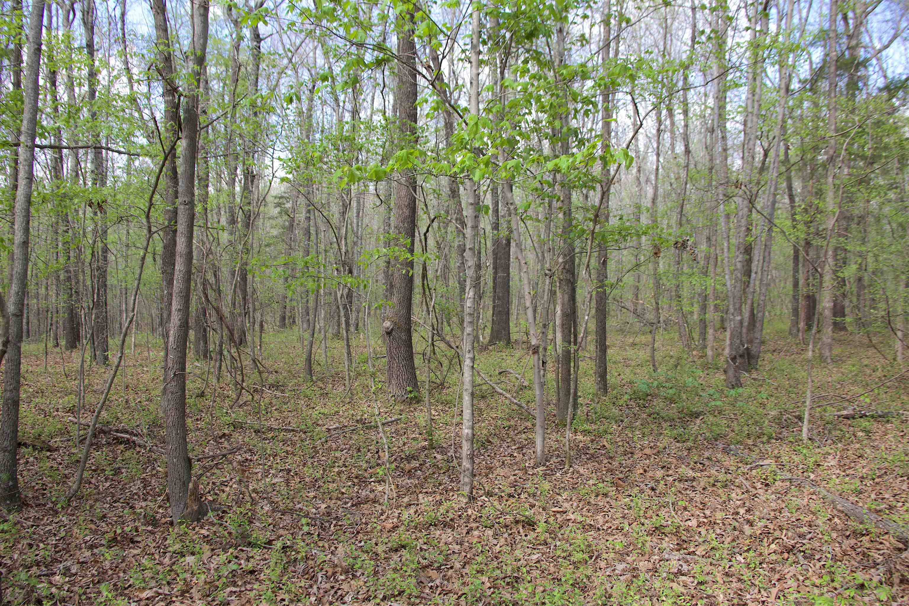 780 Breedlove Road Michigan City, MS 38647 - Photo 10 of 11