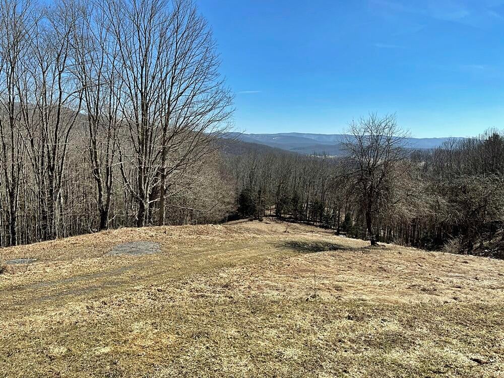 835 Greathouse Road Bartow, WV 24920 - Photo 22 of 34 Gallery Image 22