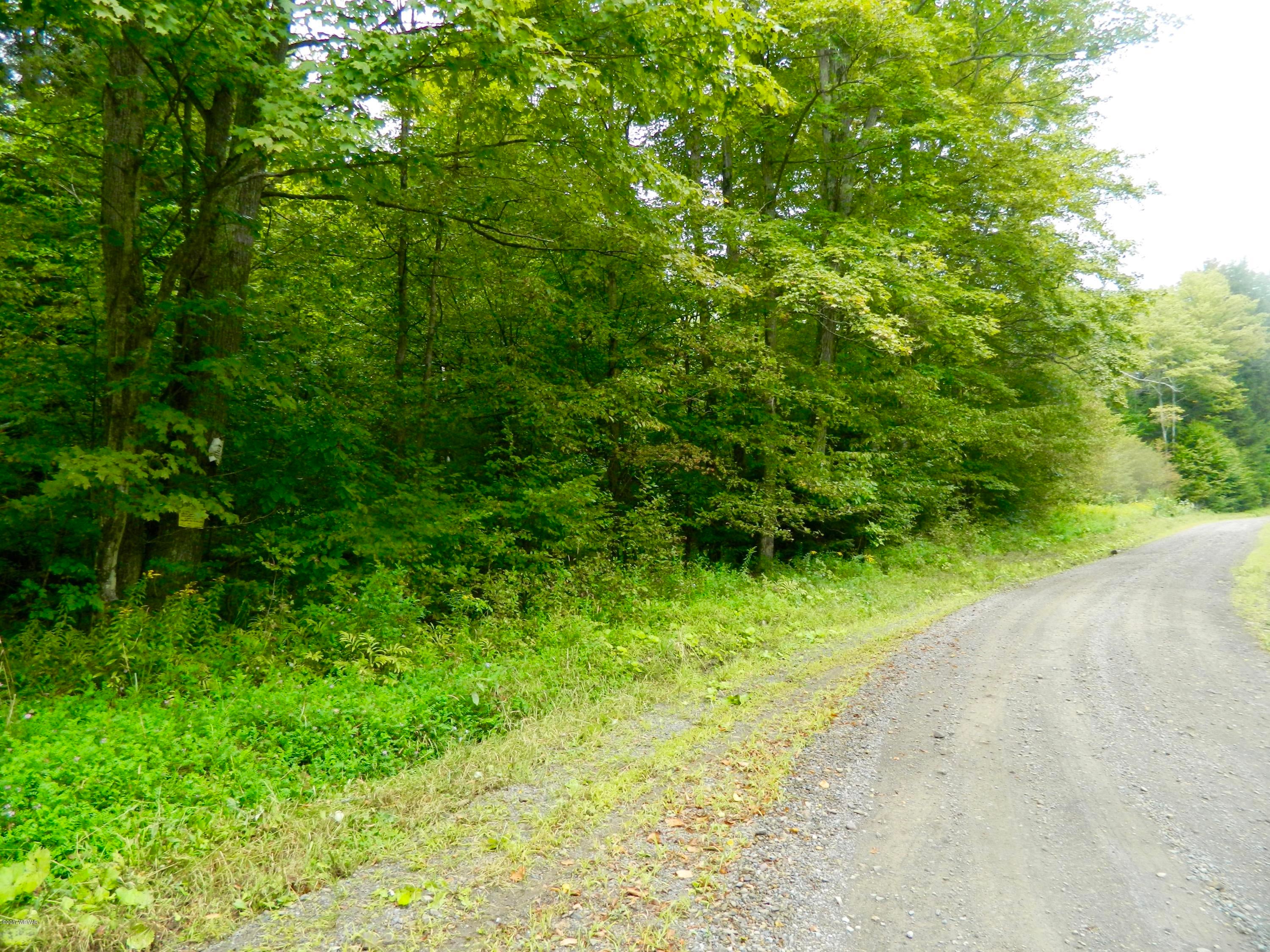 0 Karge Road Dushore, PA 18614 - Photo 6 of 6 Property on Left