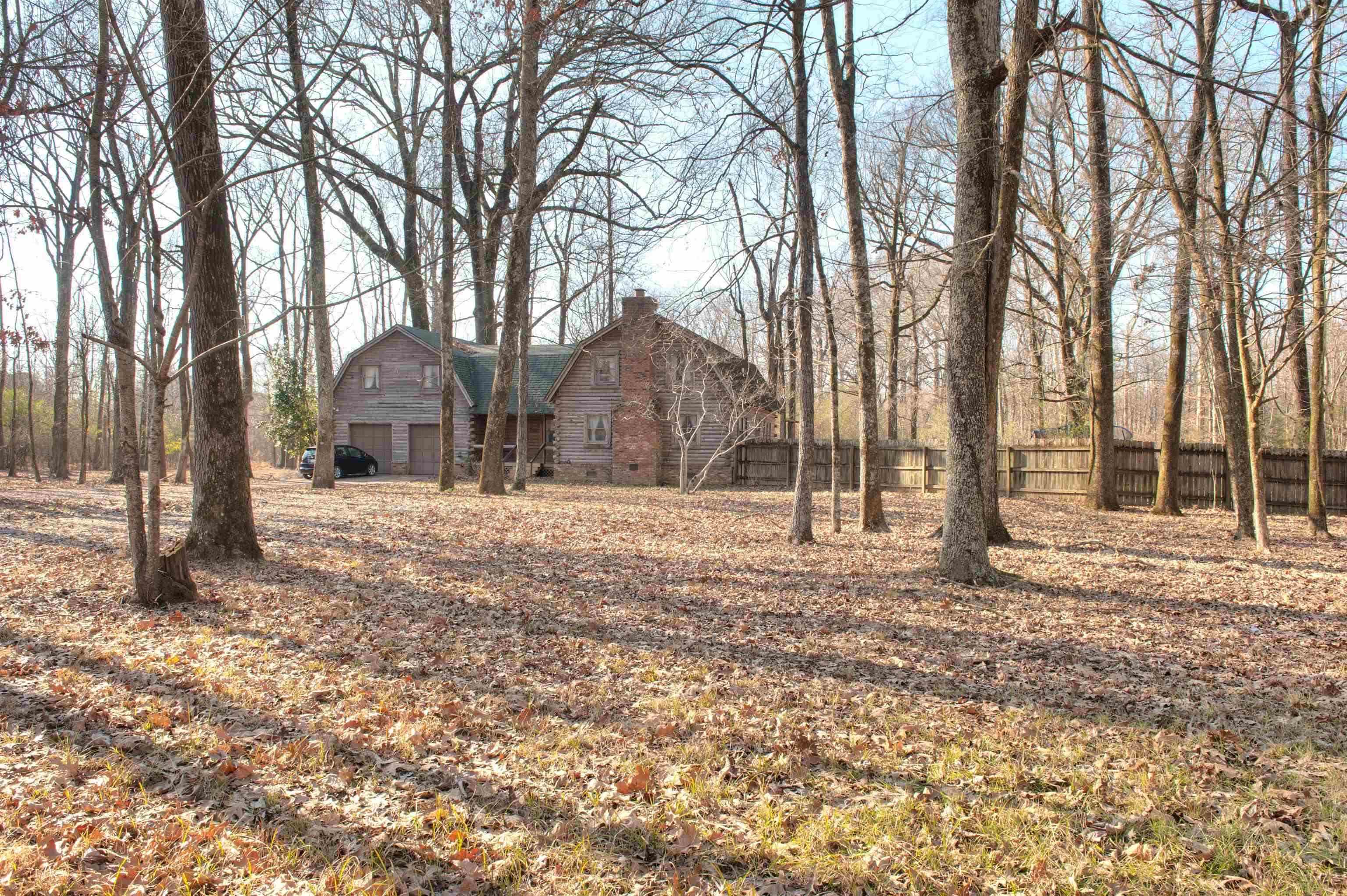 a view of a yard with trees