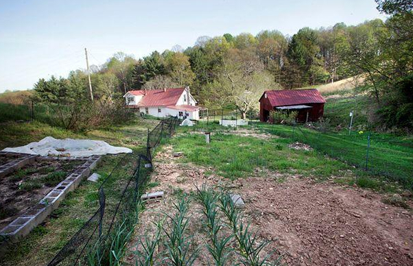 747 Graham Road Northwest Willis, VA 24380 - Photo 9 of 17 a view of a yard with large trees